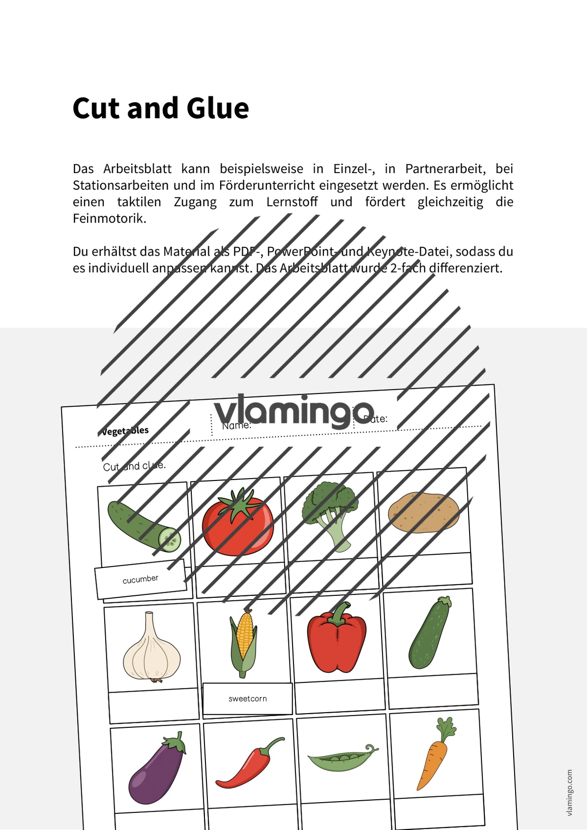 de englisch vegetables cut and glue 002