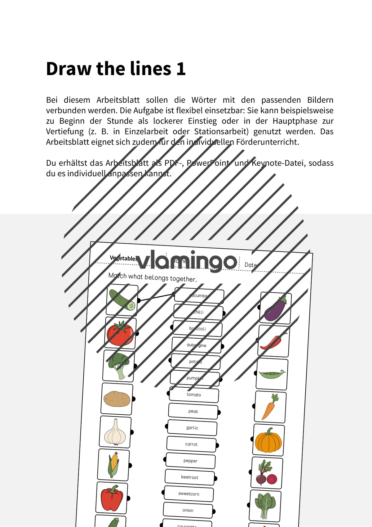 de englisch vegetables draw the lines 1 002