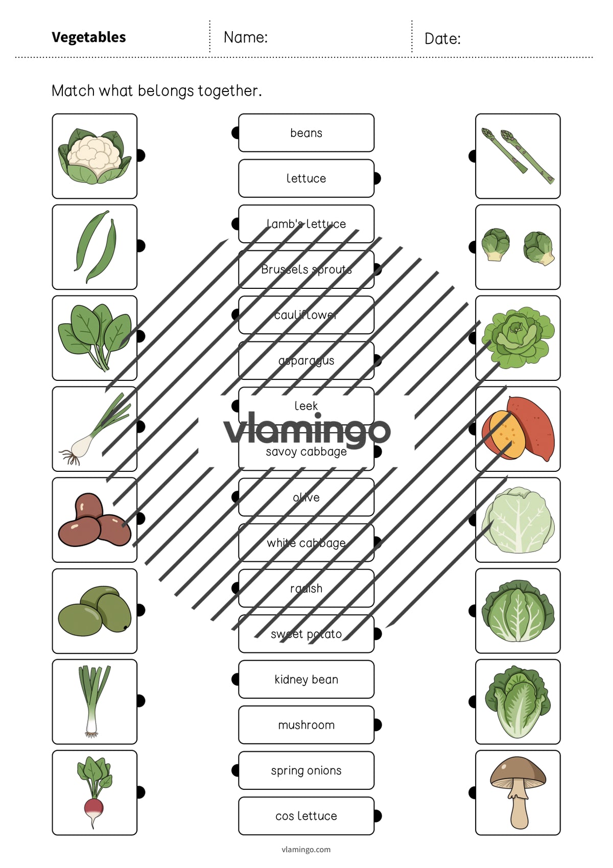 de englisch vegetables draw the lines 1 004