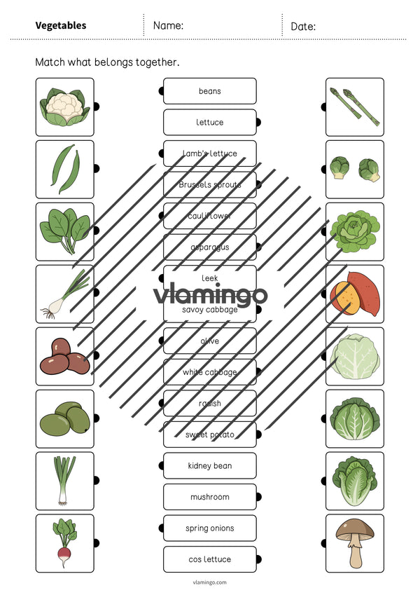 de englisch vegetables draw the lines 1 004