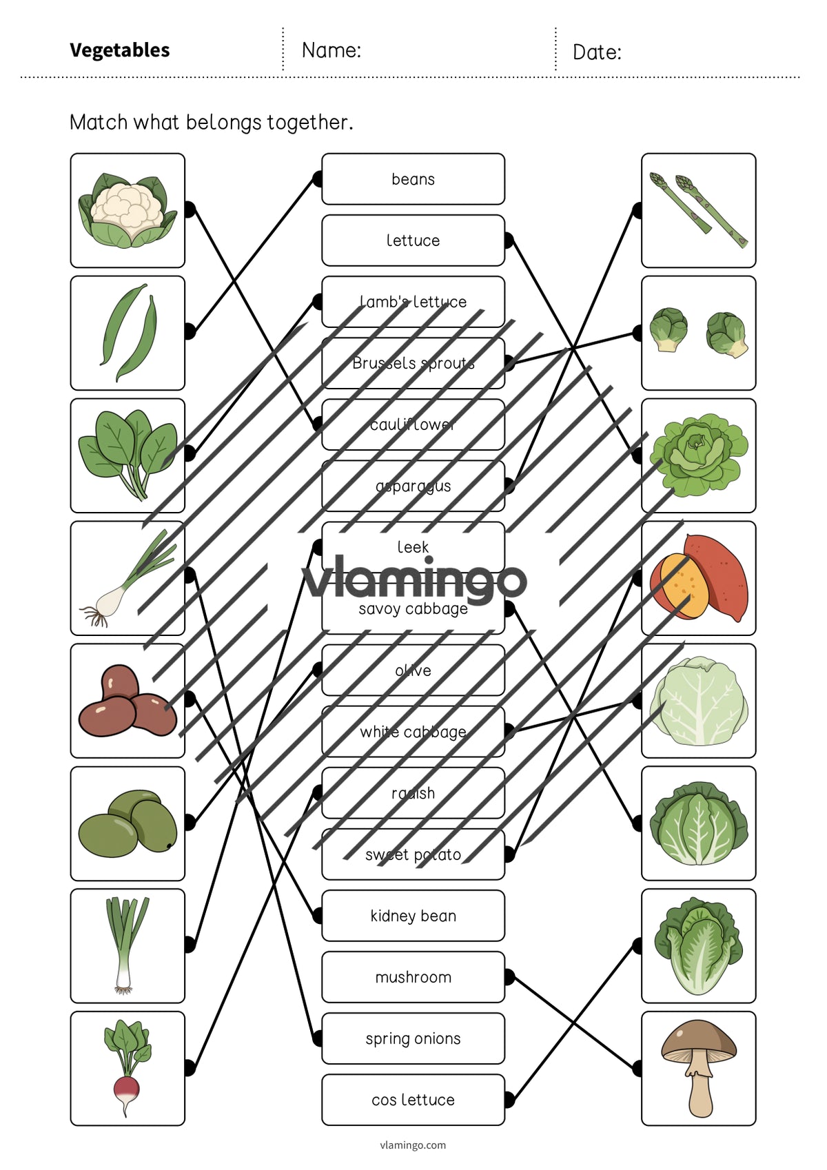 de englisch vegetables draw the lines 1 007
