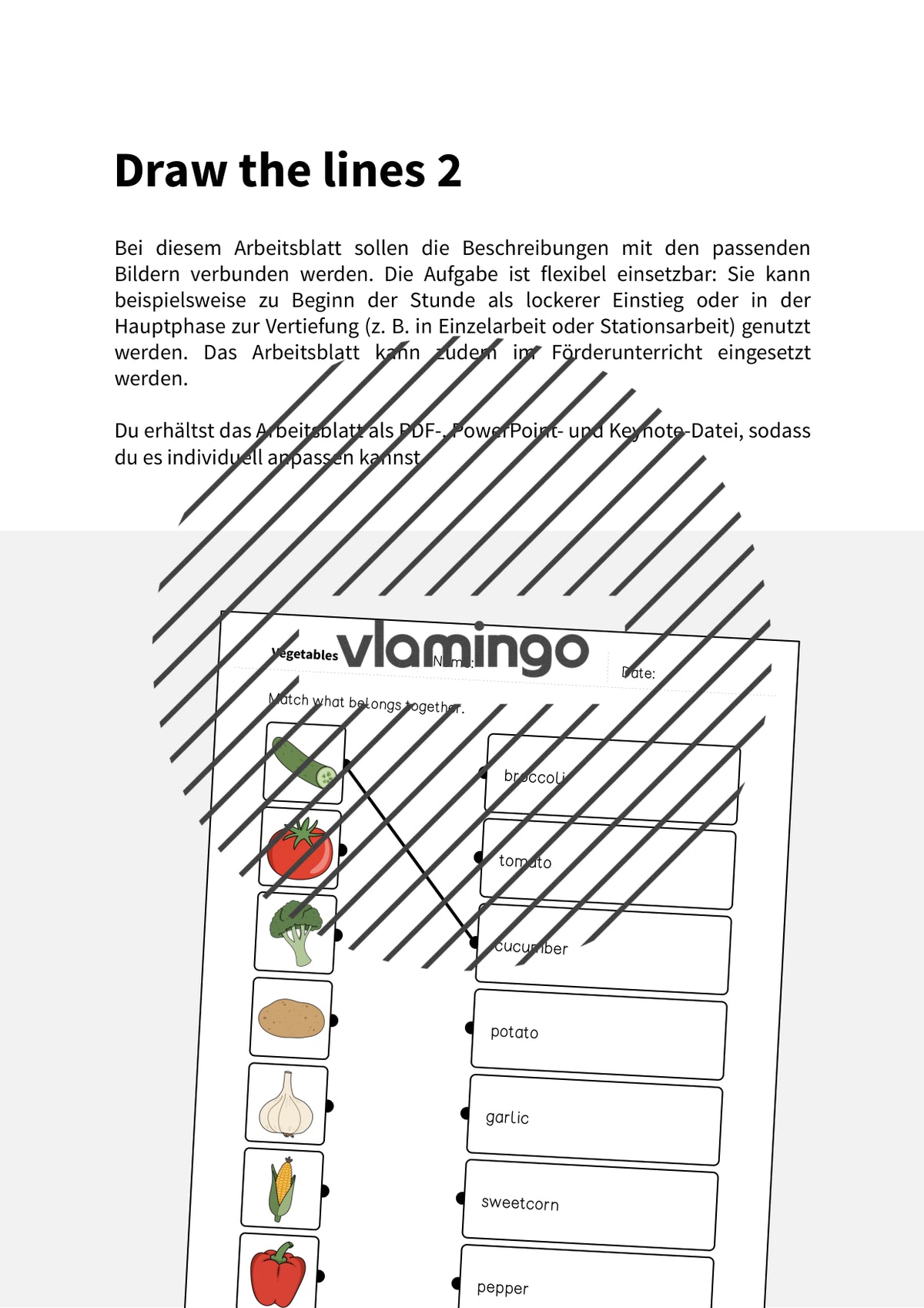 de englisch vegetables draw the lines 2 002