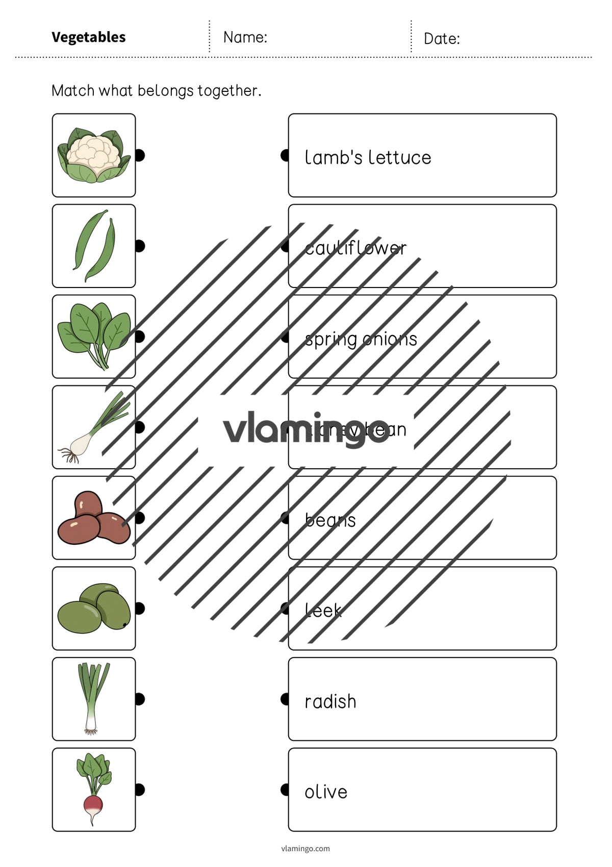de englisch vegetables draw the lines 2 005