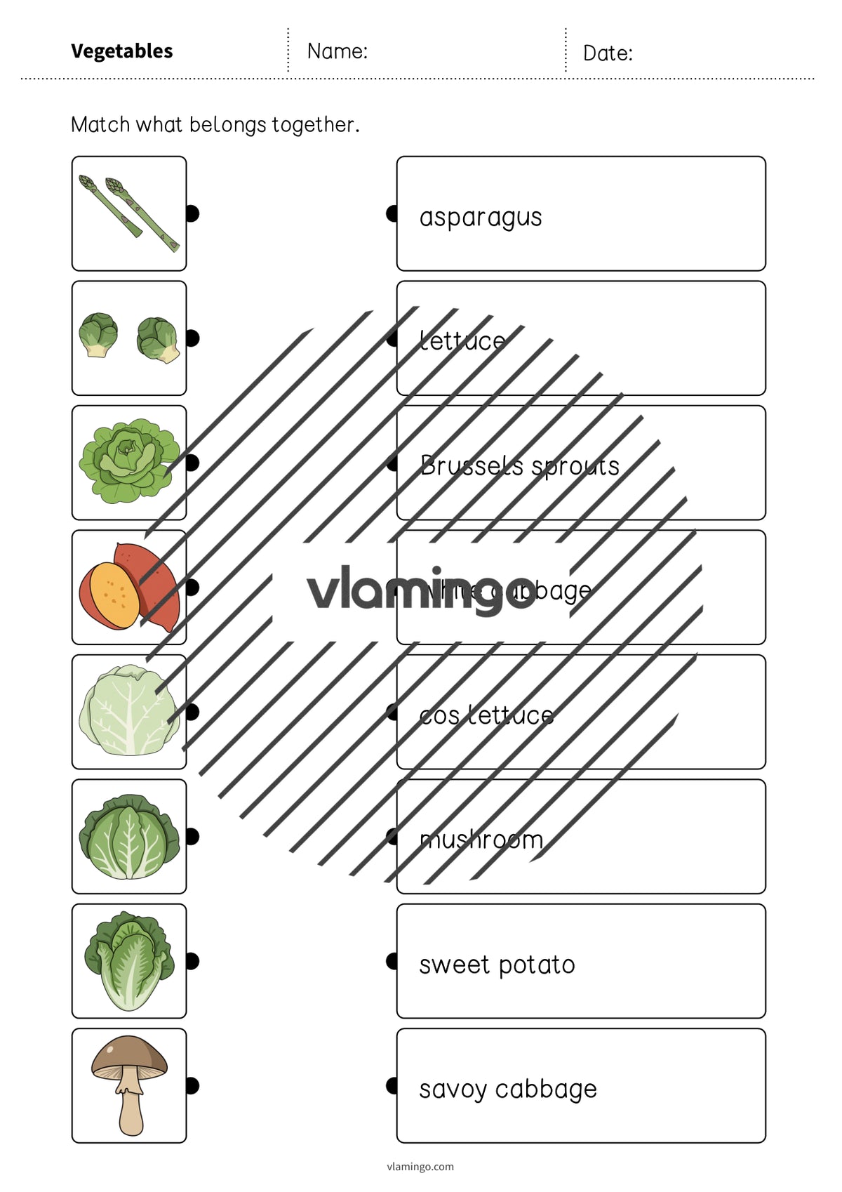 de englisch vegetables draw the lines 2 006