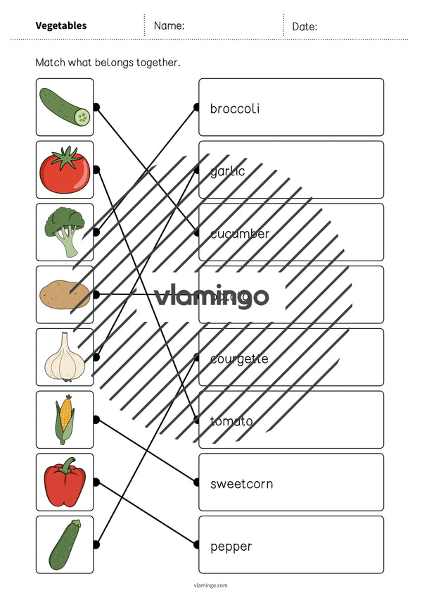 de englisch vegetables draw the lines 2 008