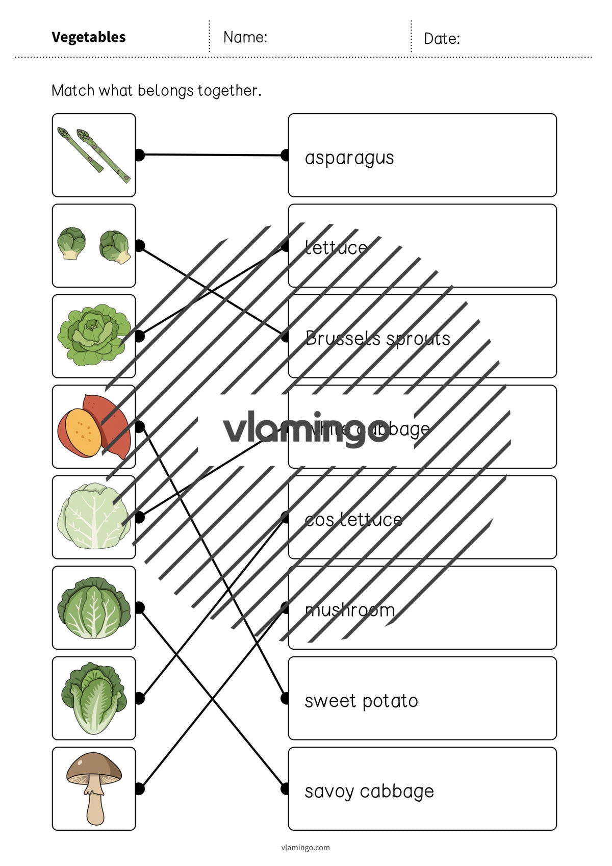 de englisch vegetables draw the lines 2 011