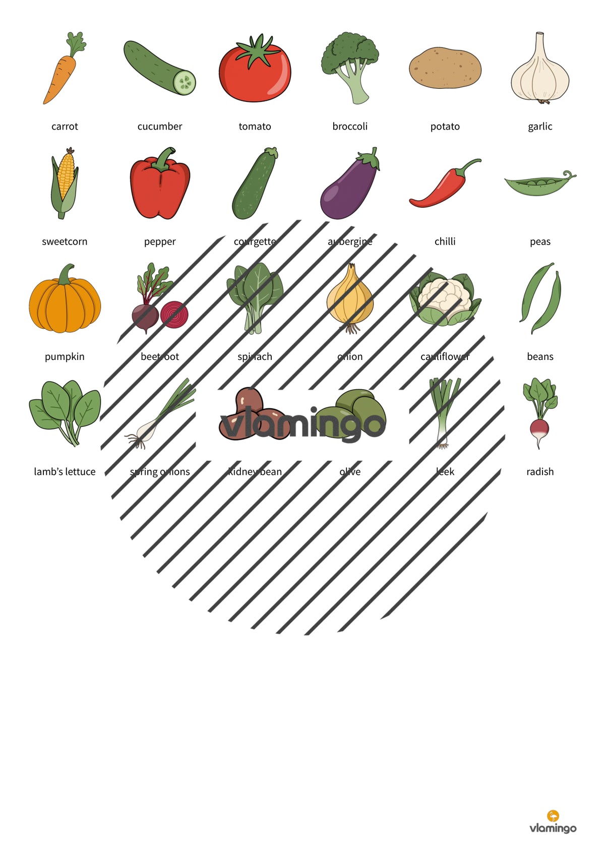de englisch vegetables floppi 006