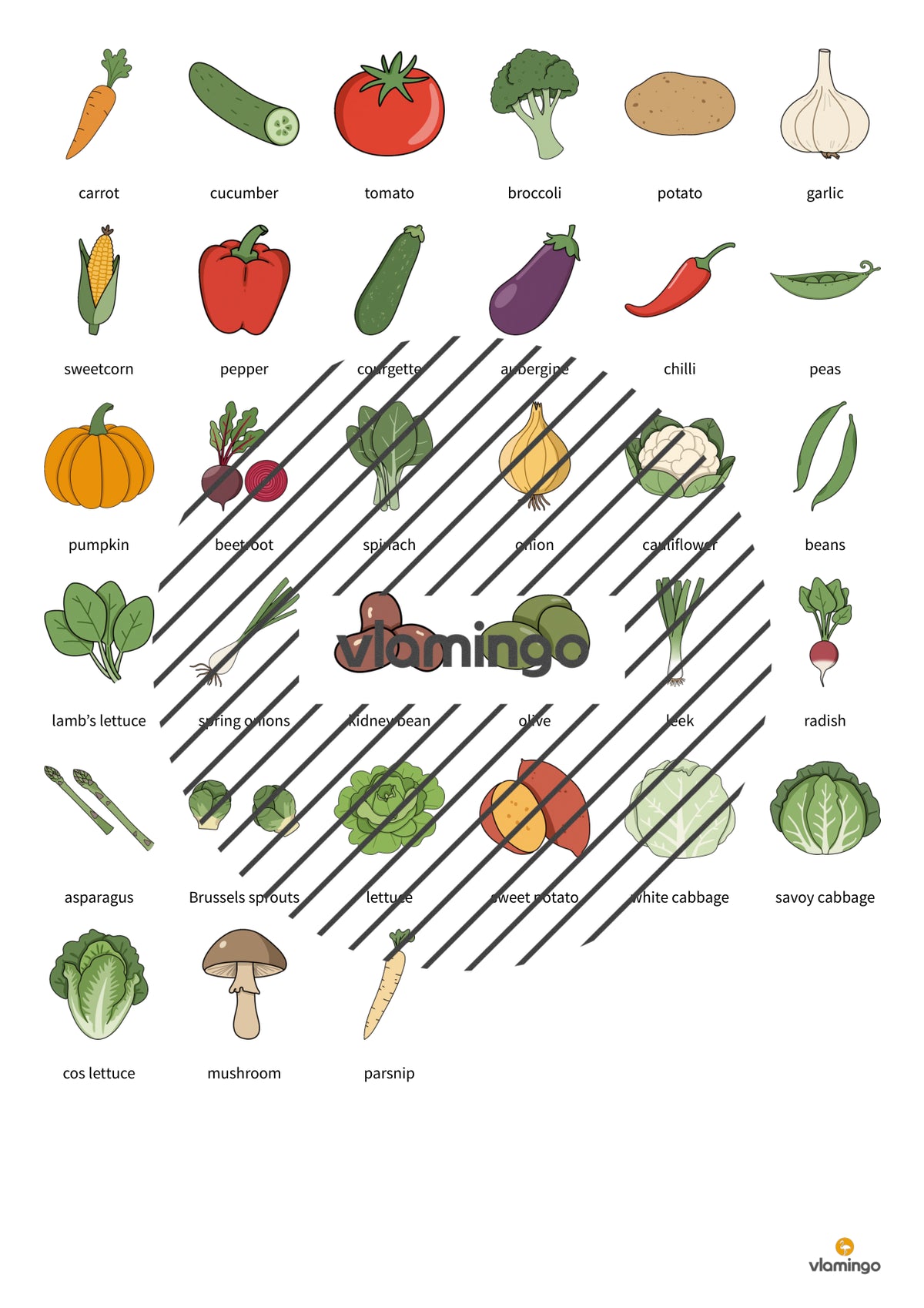de englisch vegetables vocabulary fitness 003