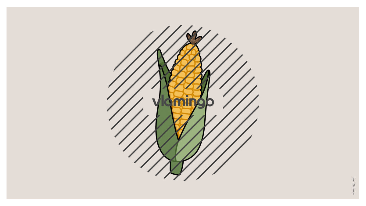 de englisch vegetables vocabulary fitness powerpoint 010