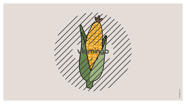 de englisch vegetables vocabulary fitness powerpoint 010
