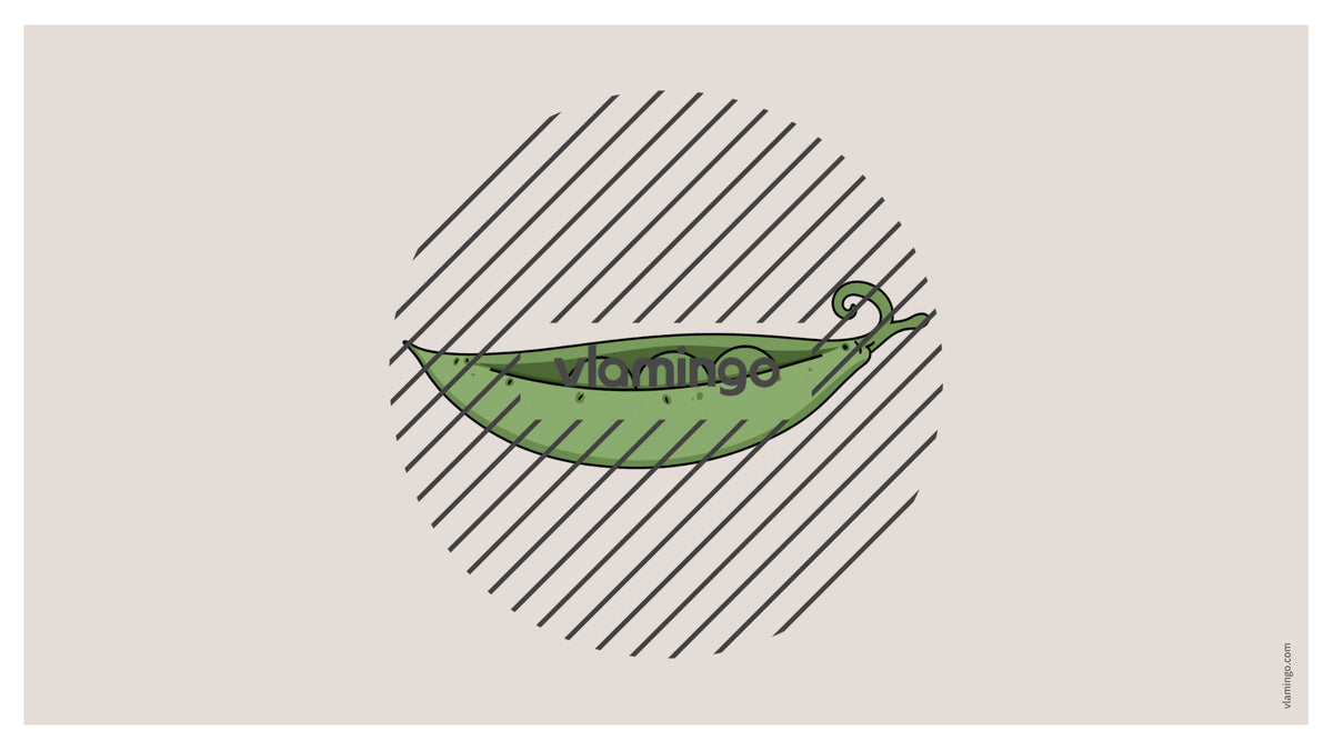 de englisch vegetables vocabulary fitness powerpoint 017