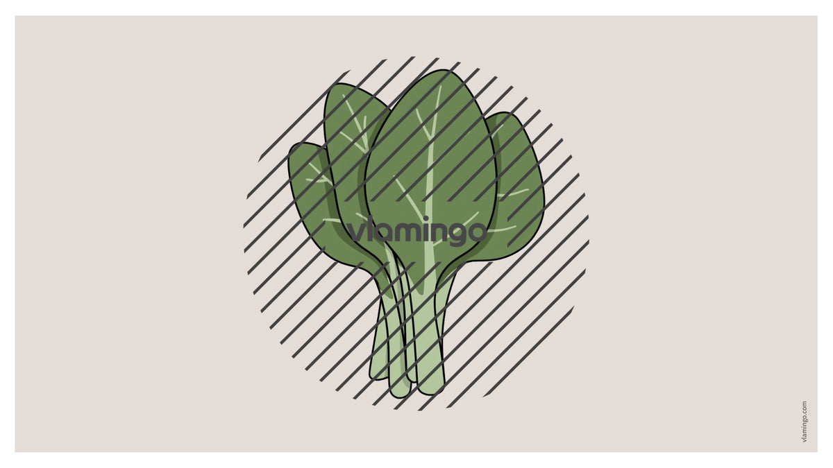 de englisch vegetables vocabulary fitness powerpoint 022