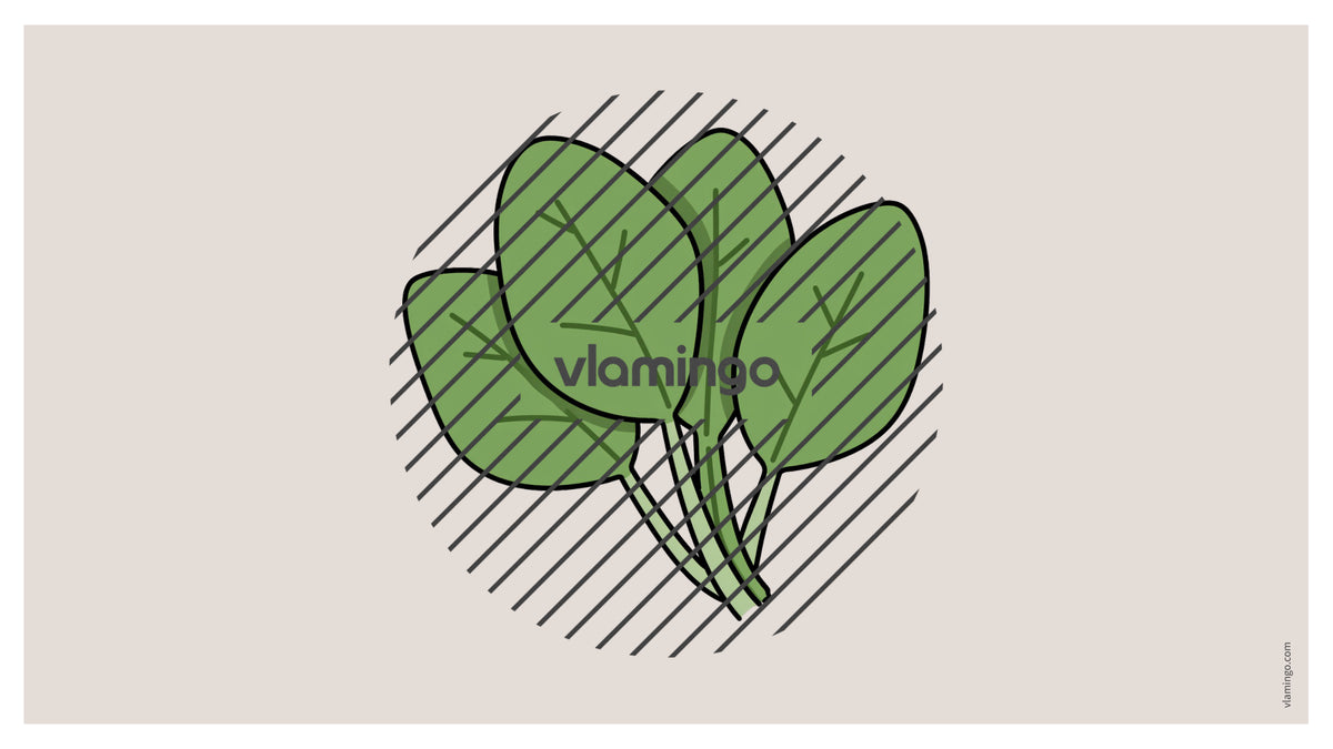 de englisch vegetables vocabulary fitness powerpoint 028