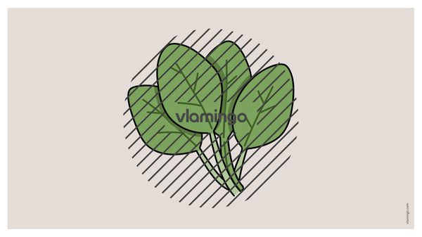 de englisch vegetables vocabulary fitness powerpoint 028