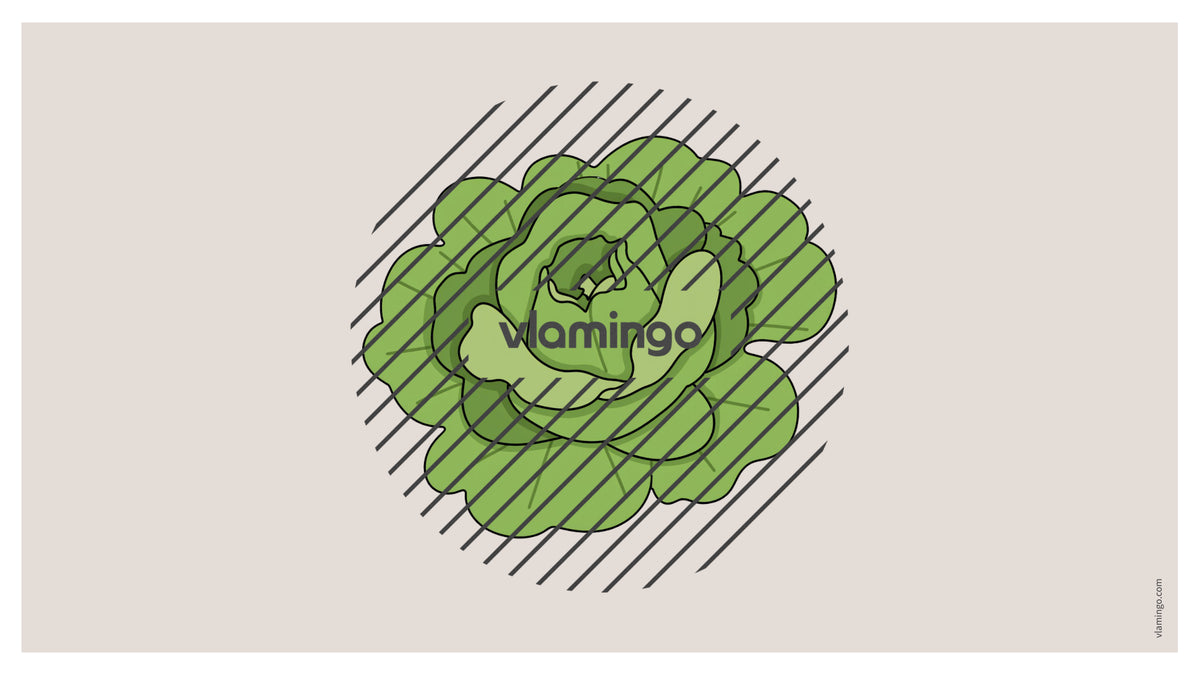 de englisch vegetables vocabulary fitness powerpoint 038