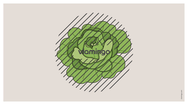 de englisch vegetables vocabulary fitness powerpoint 038