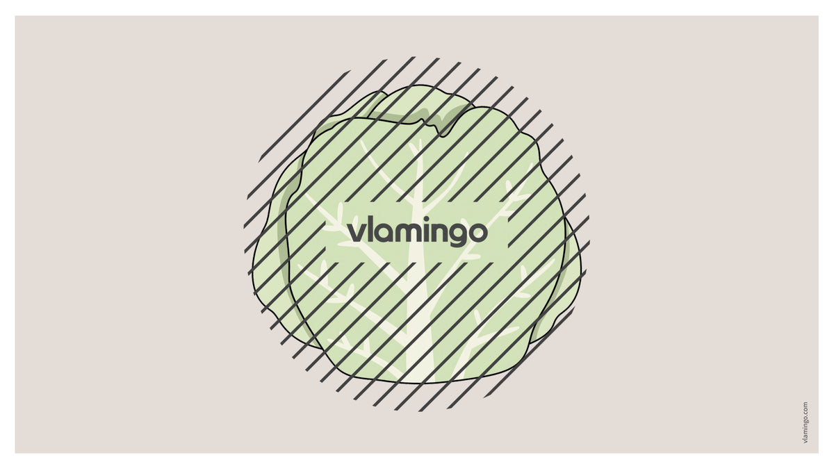 de englisch vegetables vocabulary fitness powerpoint 041