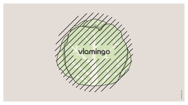 de englisch vegetables vocabulary fitness powerpoint 041