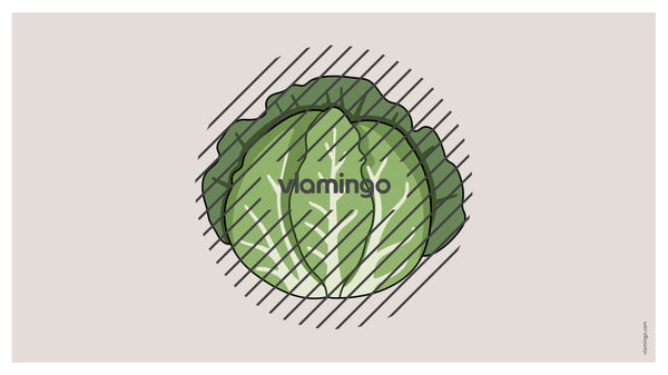 de englisch vegetables vocabulary fitness powerpoint 042
