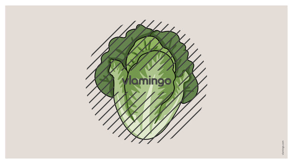 de englisch vegetables vocabulary fitness powerpoint 044