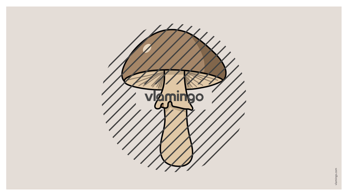de englisch vegetables vocabulary fitness powerpoint 045