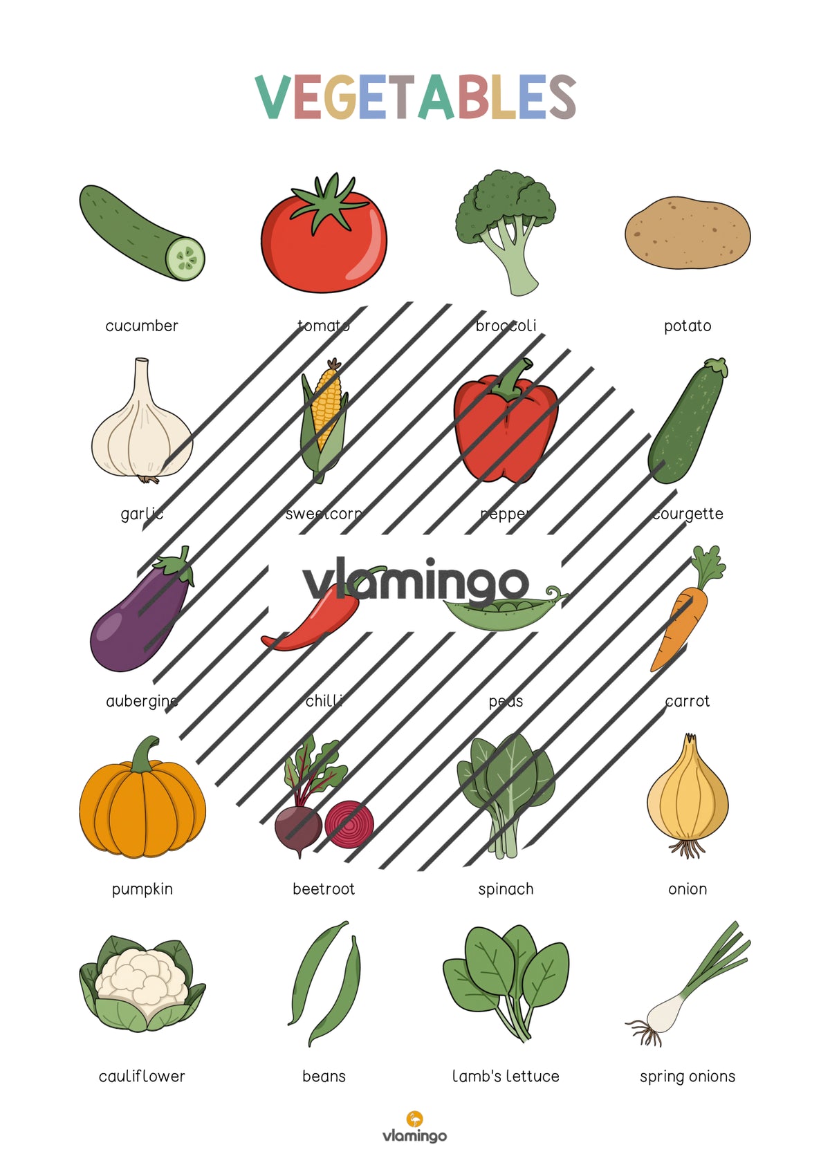 de englisch vegetables vocabulary poster 003