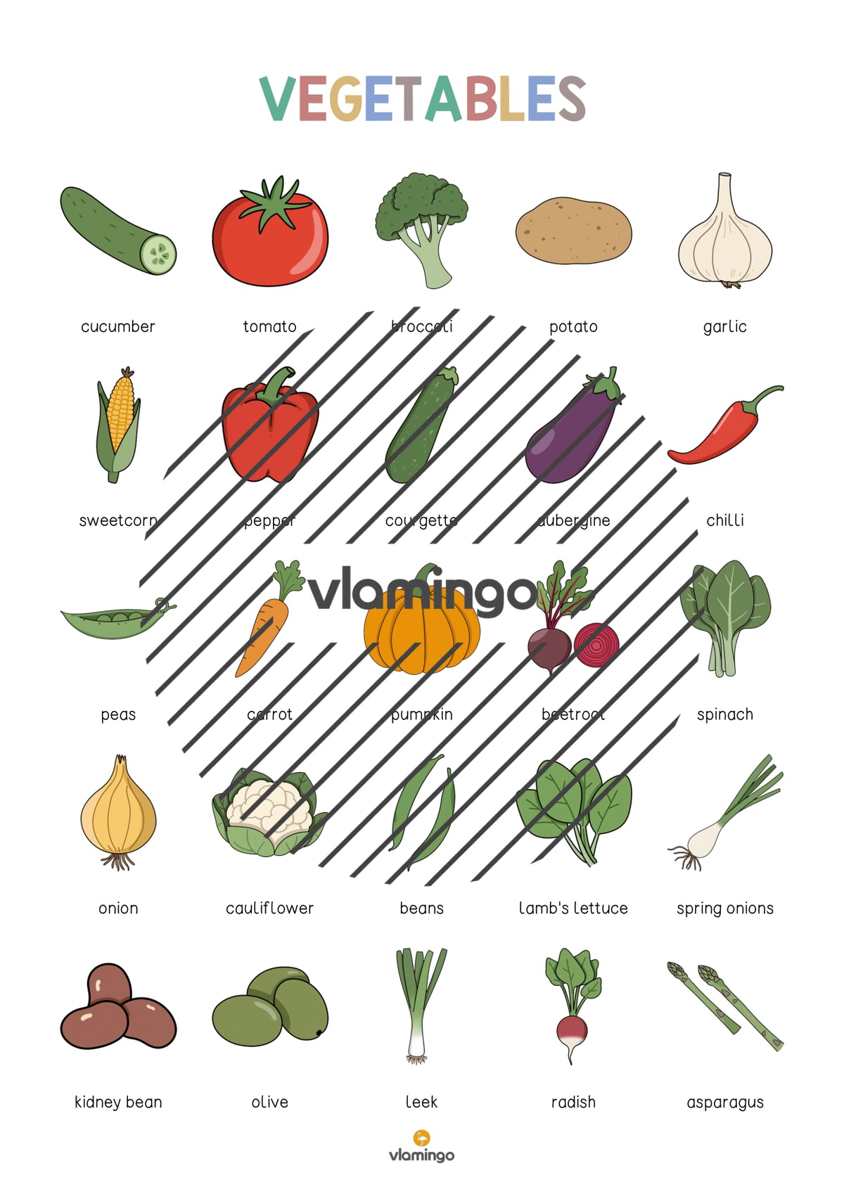 de englisch vegetables vocabulary poster 004