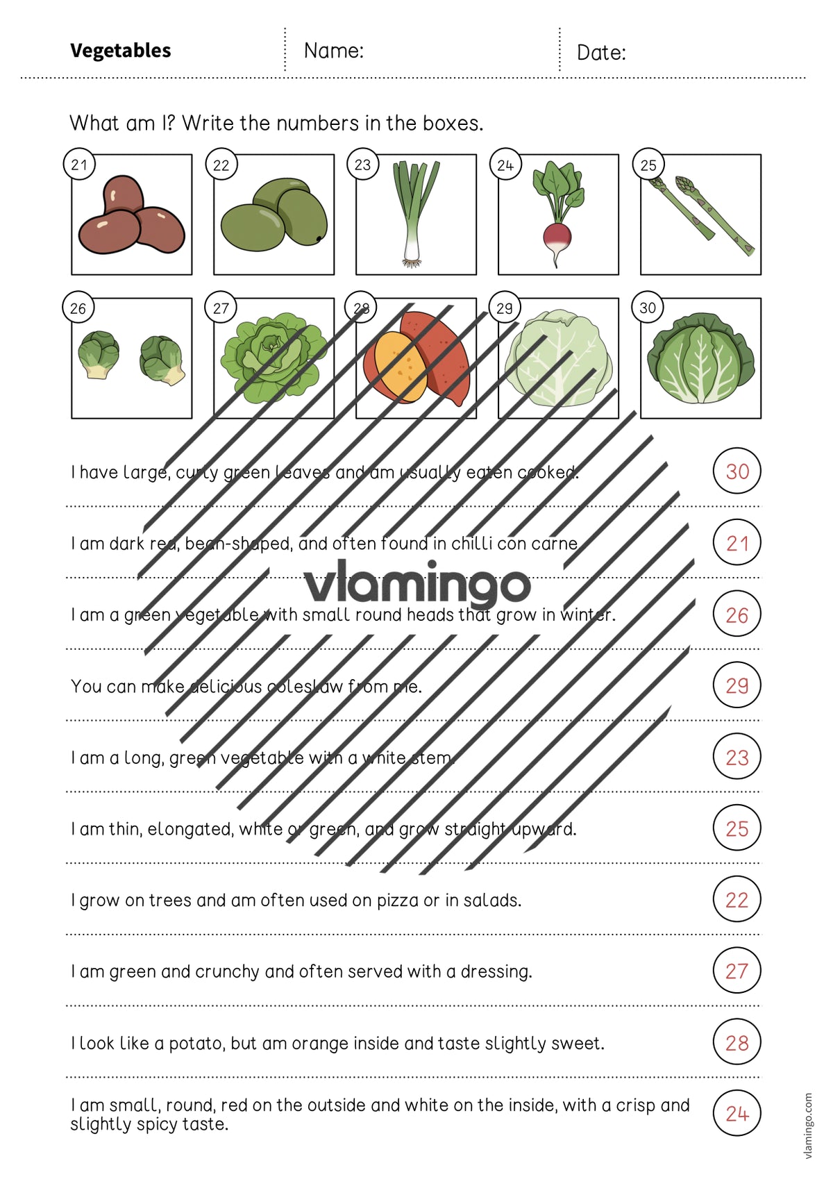 de englisch vegetables what am i worksheet 009