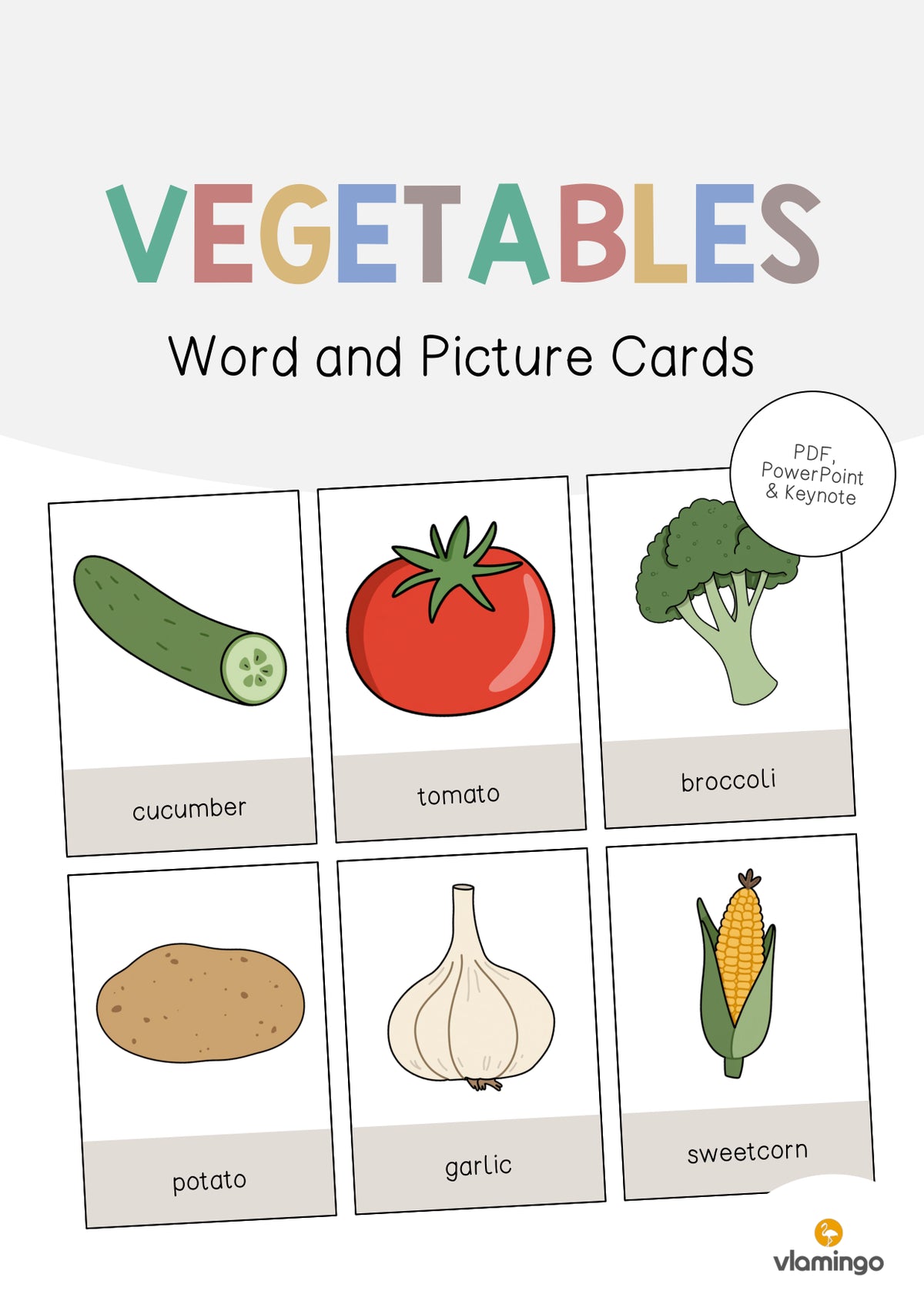 de englisch vegetables word and picture cards 001