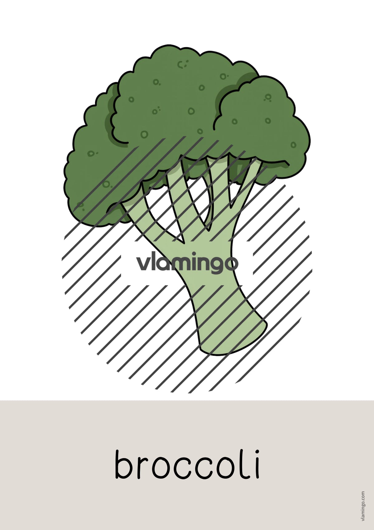 de englisch vegetables word and picture cards 005