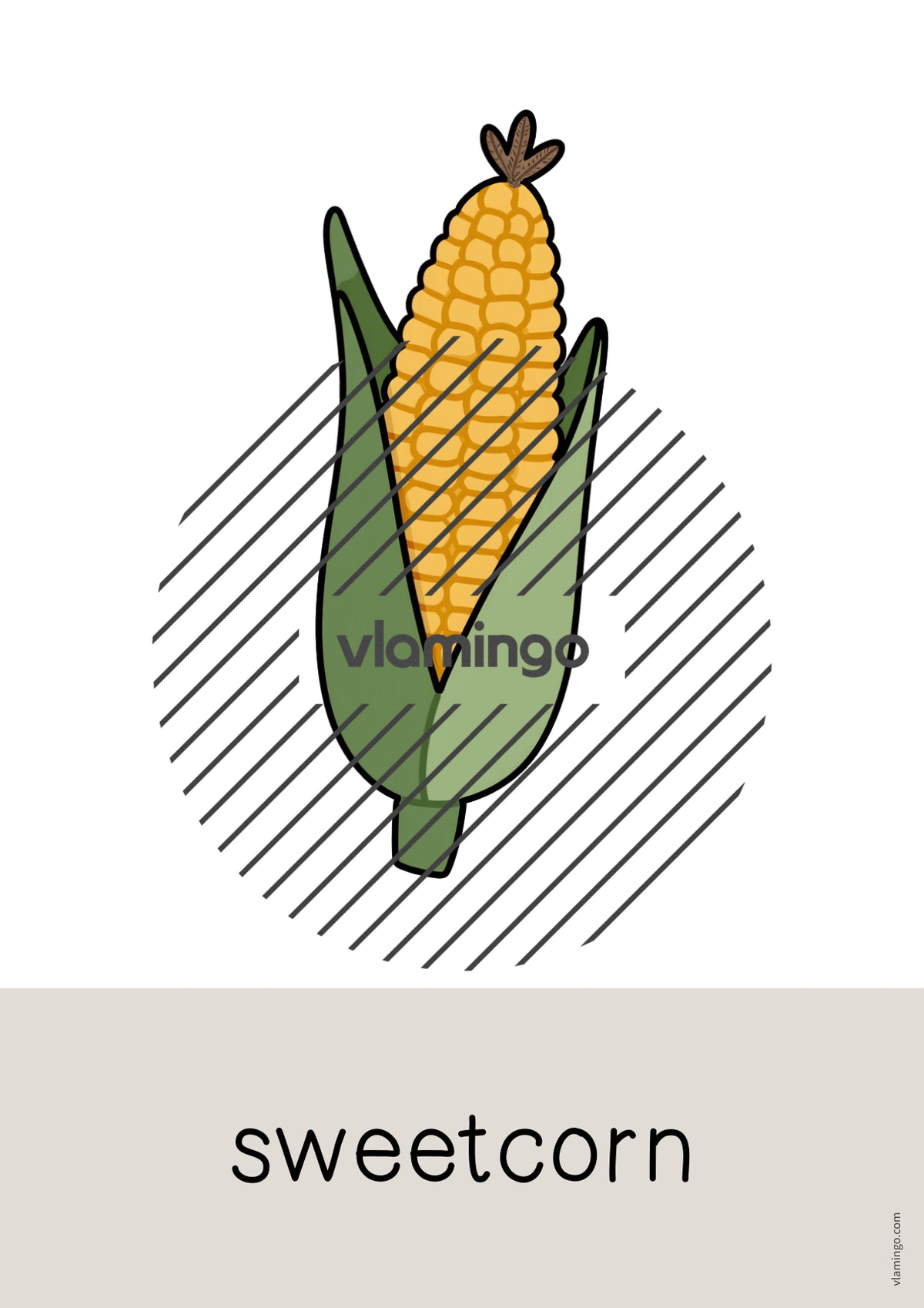 de englisch vegetables word and picture cards 008
