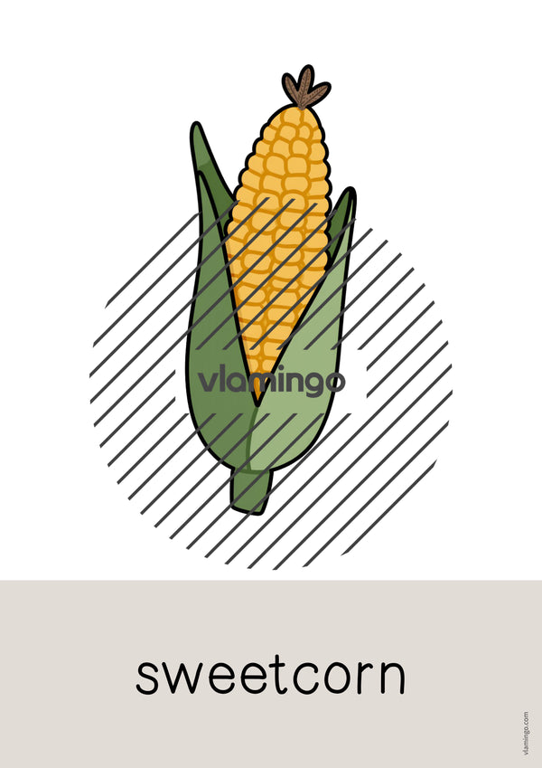 de englisch vegetables word and picture cards 008