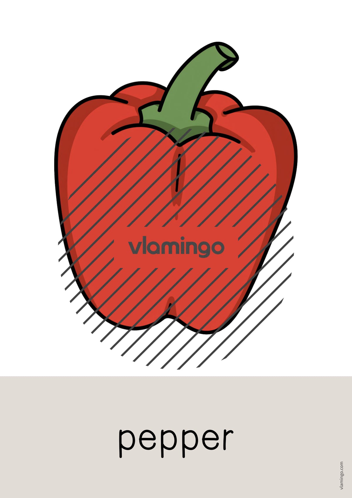 de englisch vegetables word and picture cards 009