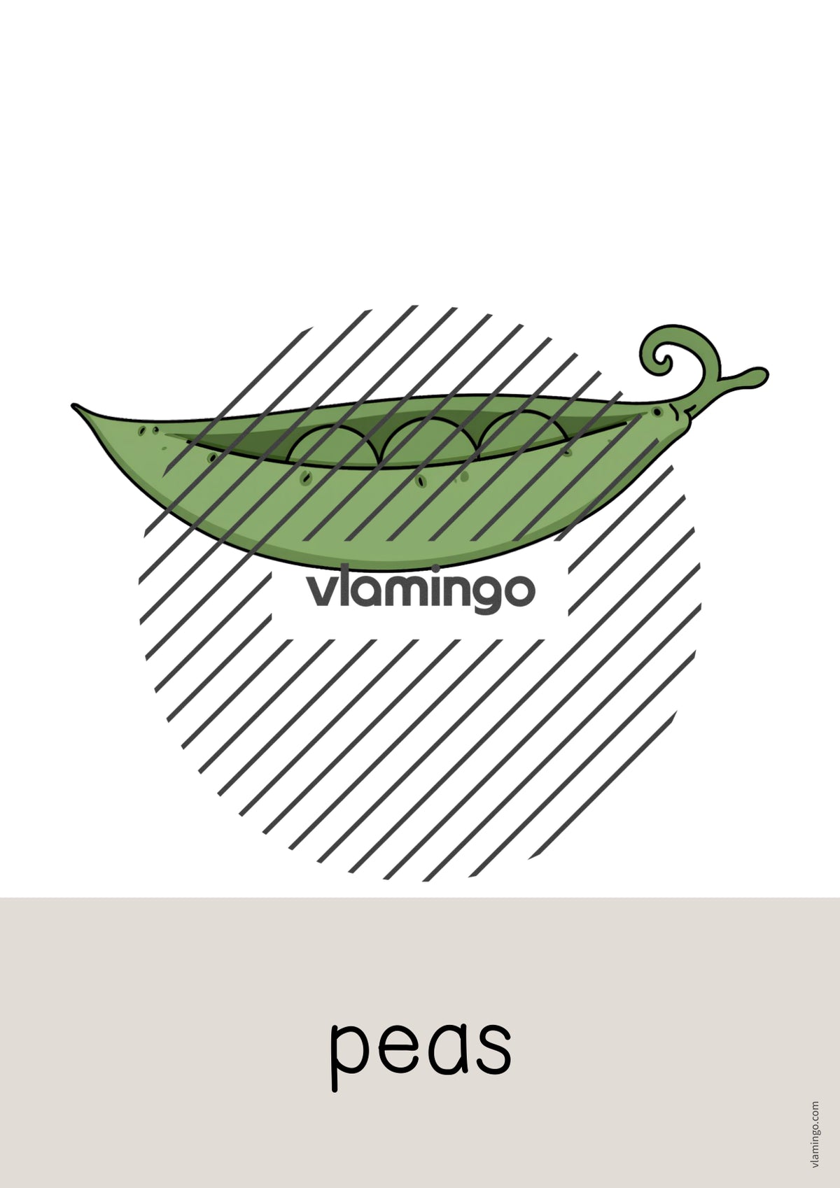 de englisch vegetables word and picture cards 013