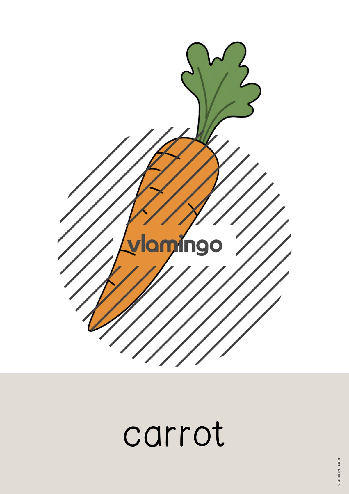 de englisch vegetables word and picture cards 014