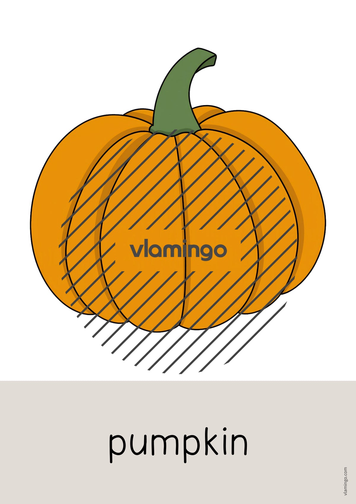 de englisch vegetables word and picture cards 015