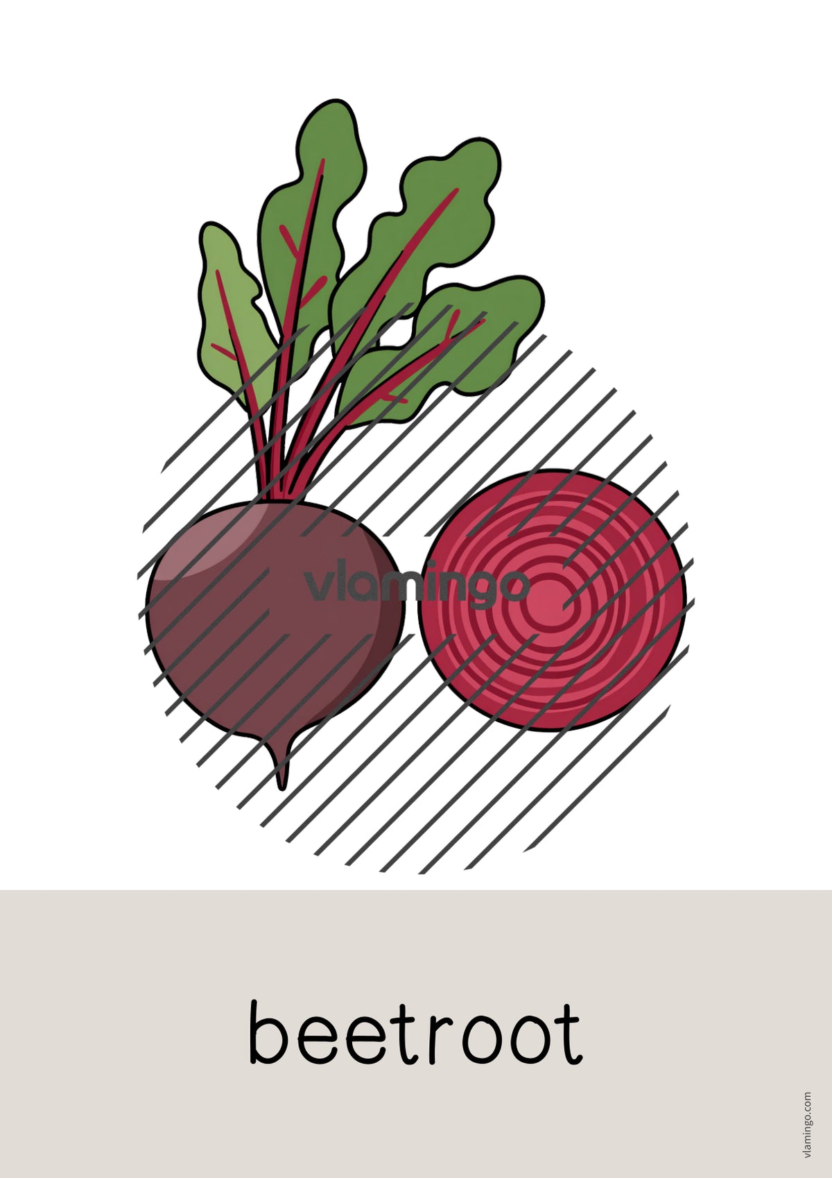 de englisch vegetables word and picture cards 016