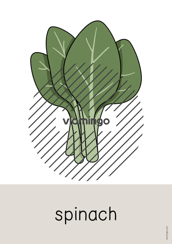 de englisch vegetables word and picture cards 017