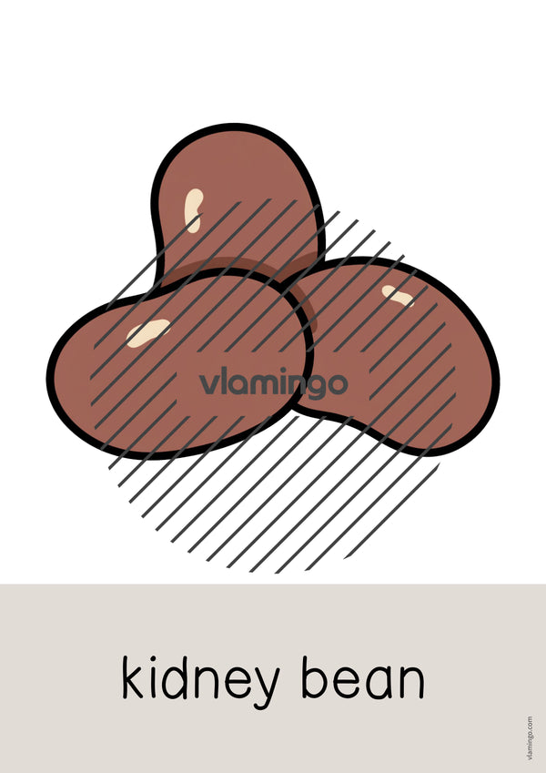 de englisch vegetables word and picture cards 023