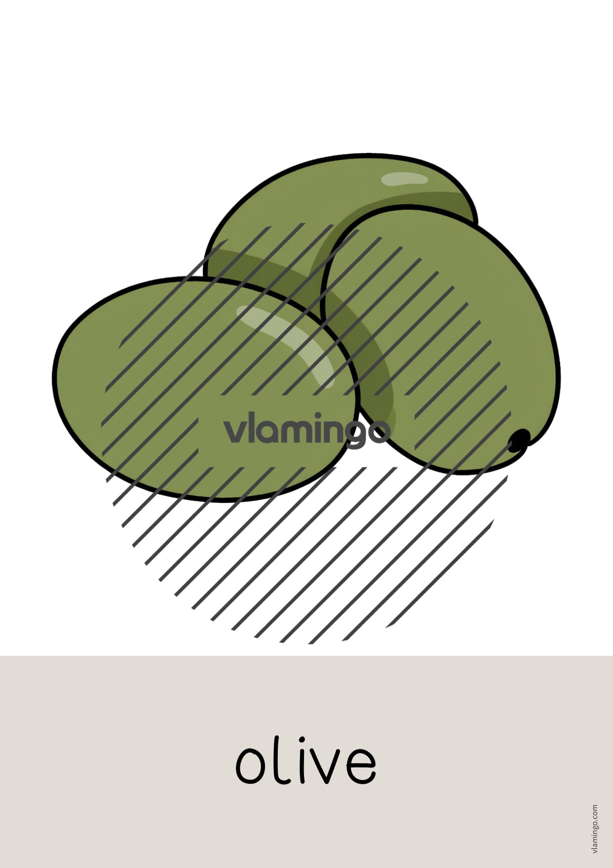 de englisch vegetables word and picture cards 024