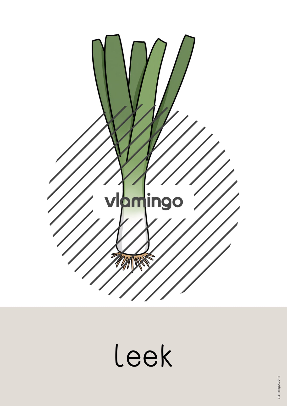 de englisch vegetables word and picture cards 025
