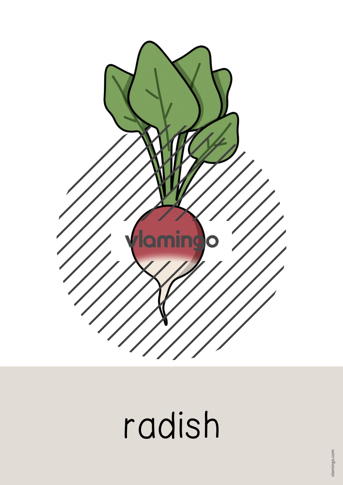de englisch vegetables word and picture cards 026