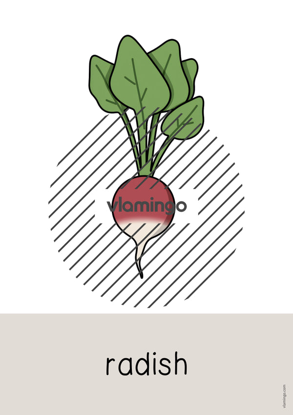 de englisch vegetables word and picture cards 026