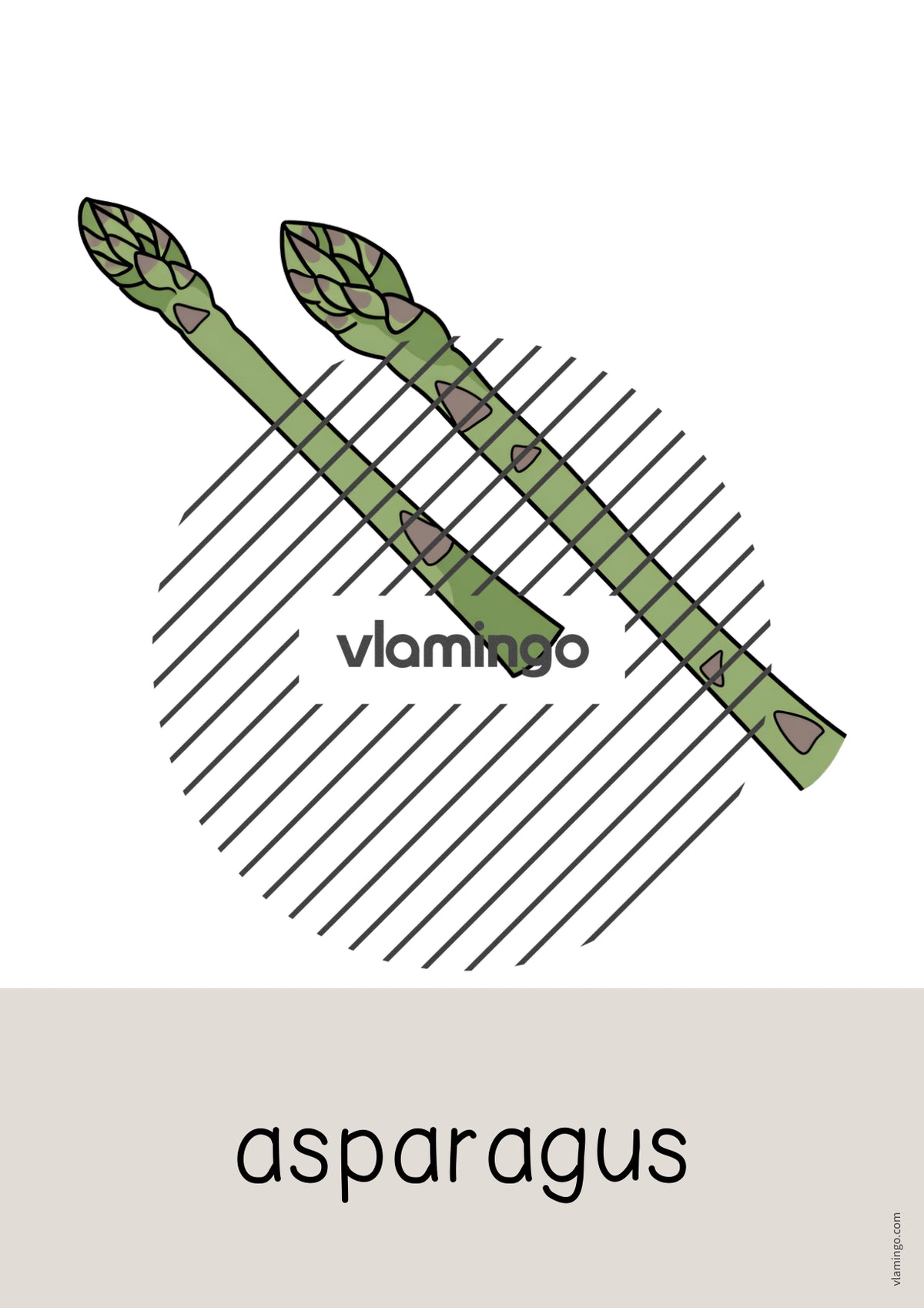 de englisch vegetables word and picture cards 027