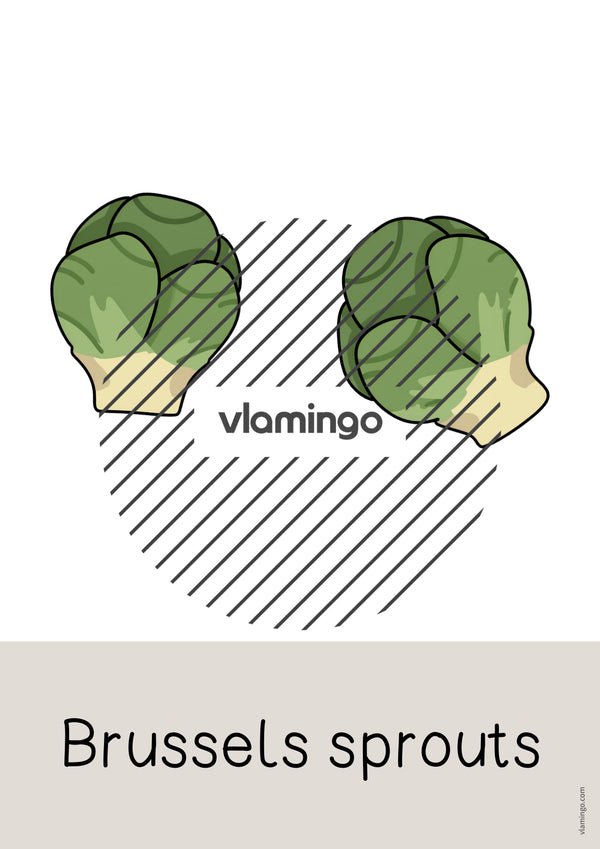 de englisch vegetables word and picture cards 028