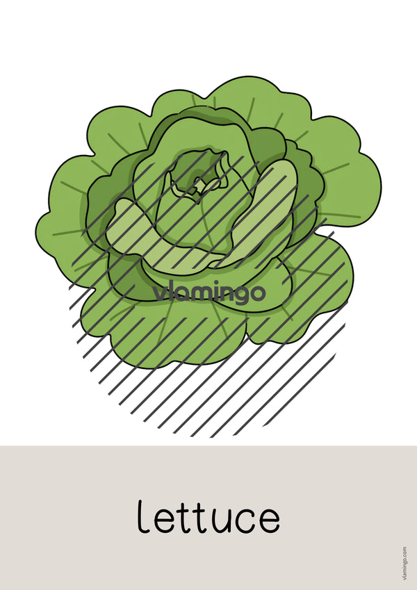 de englisch vegetables word and picture cards 029