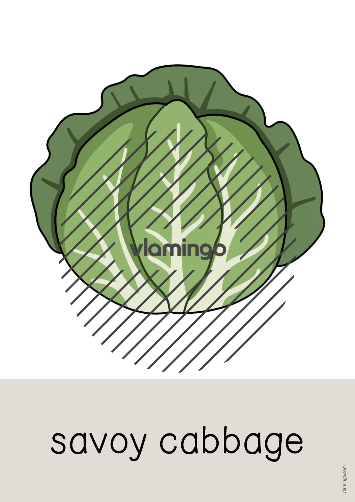 de englisch vegetables word and picture cards 032