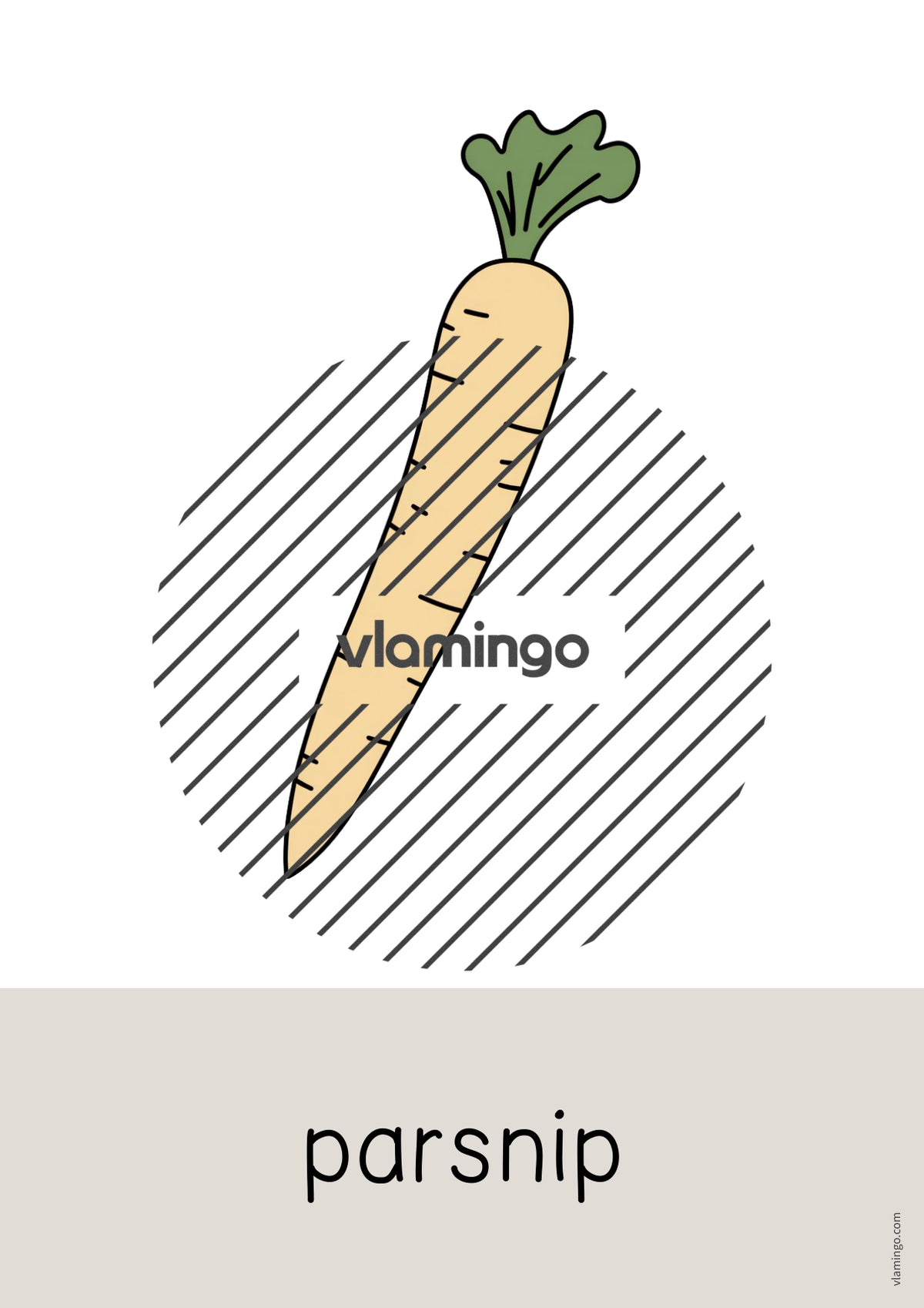 de englisch vegetables word and picture cards 035
