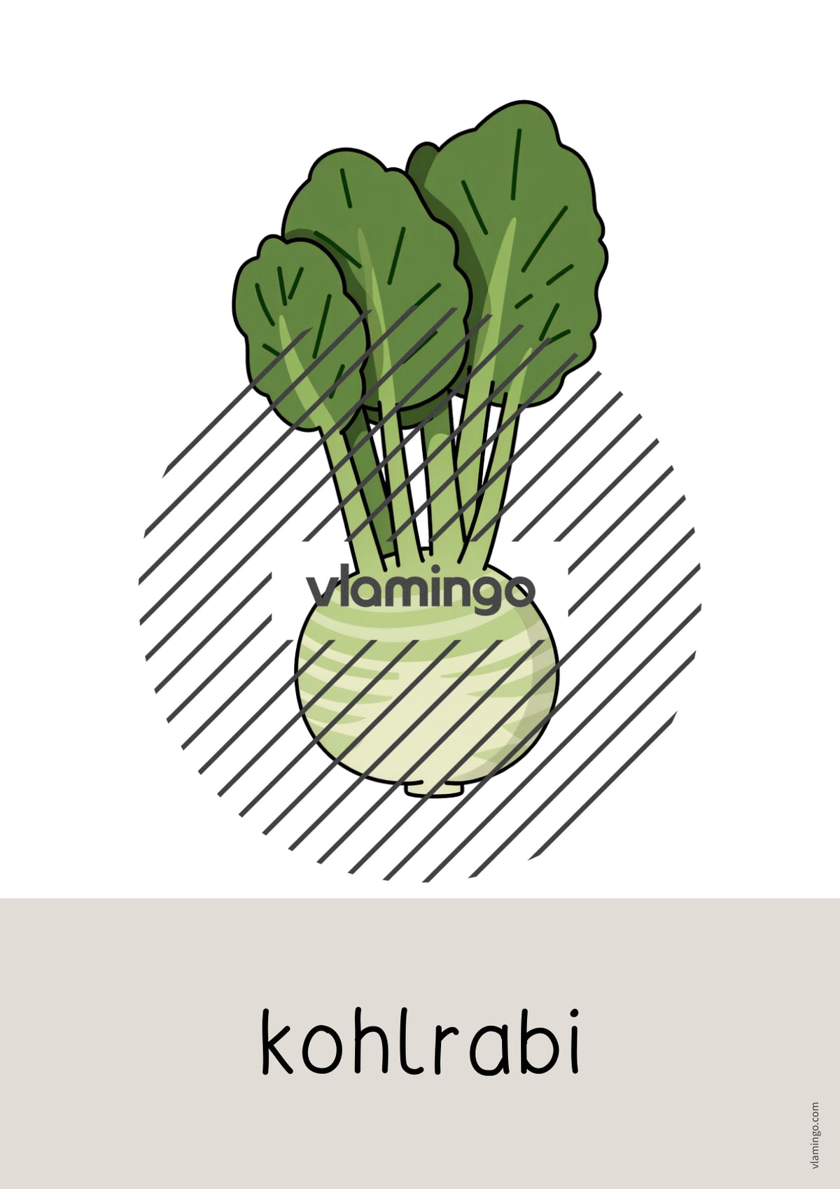 de englisch vegetables word and picture cards 037