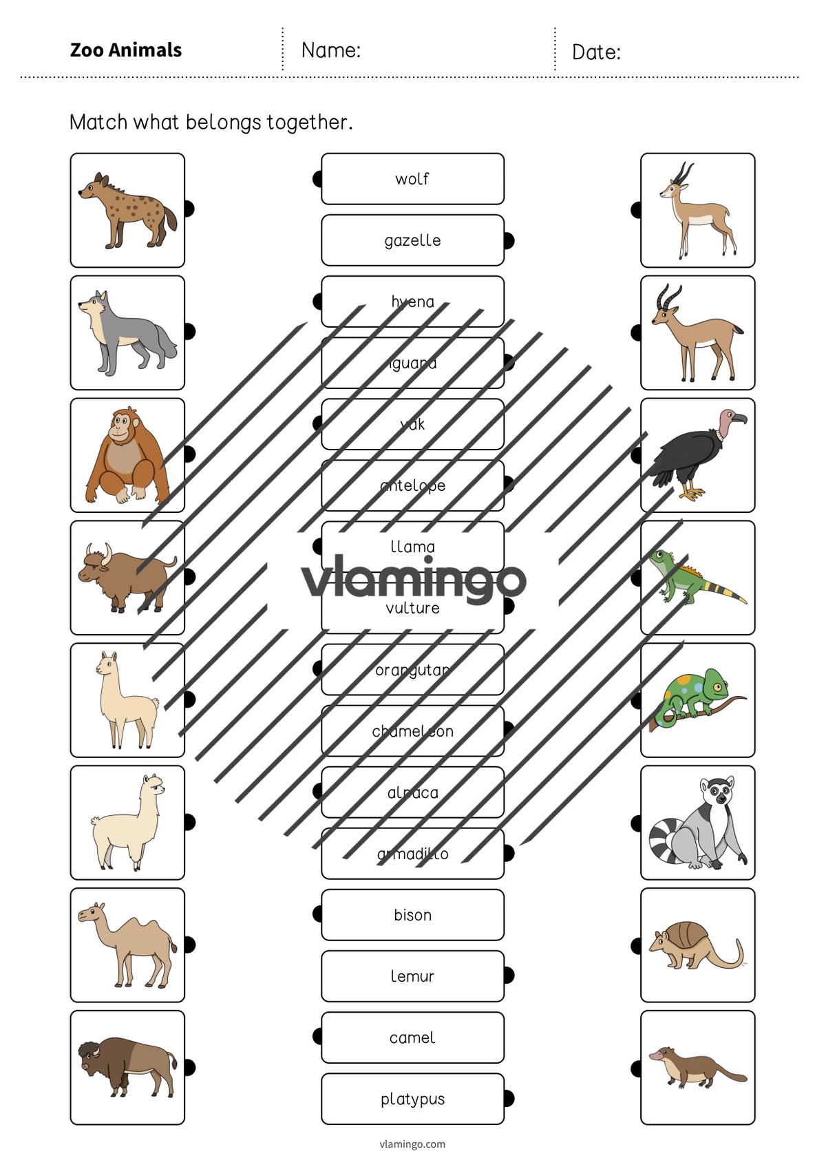 de englisch zoo animals draw the lines 1 005